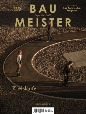 cover image of Baumeister